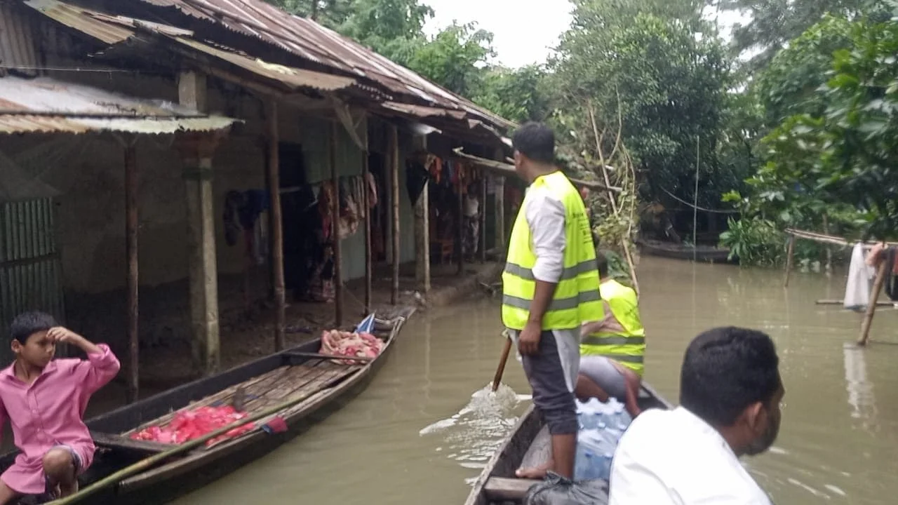 গ্যালারীর ছবি