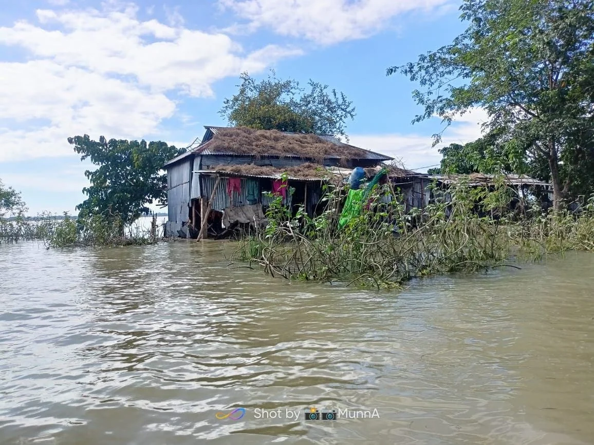 গ্যালারীর ছবি