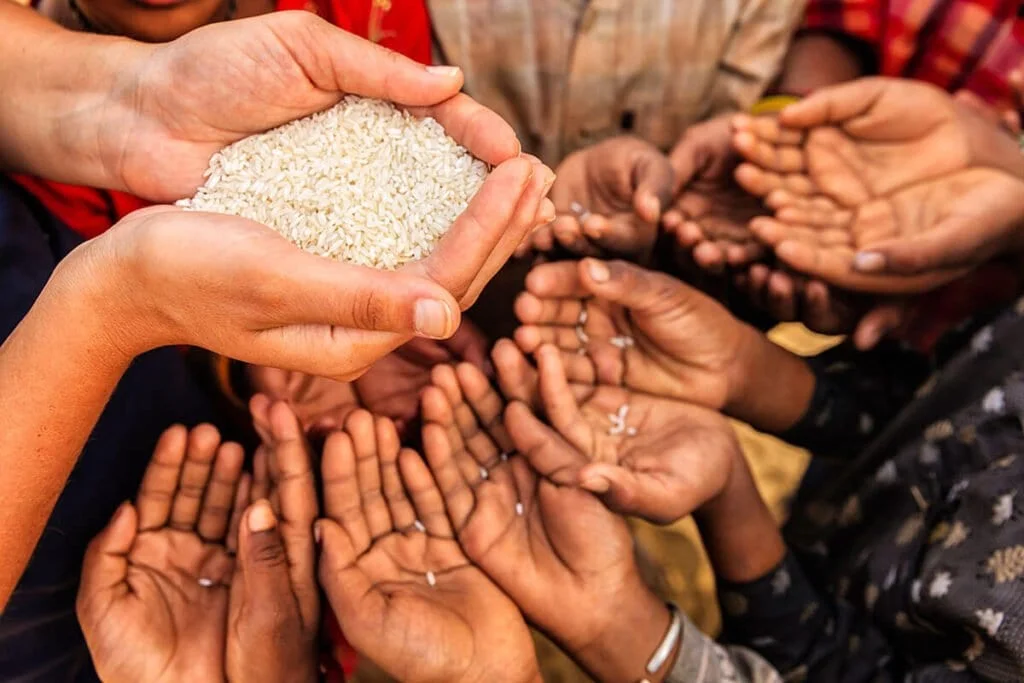 খাদ্য সহায়তা
